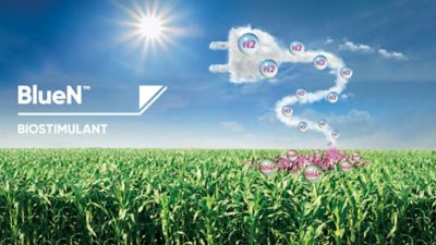 BlueN product image web.jpg